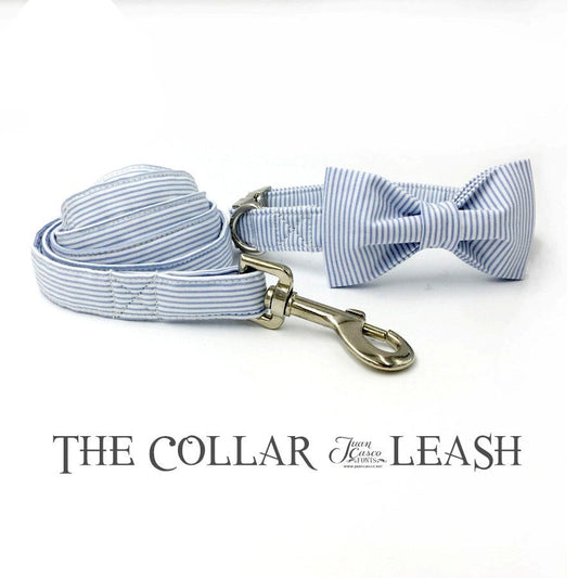 Personalized Collar & Leash